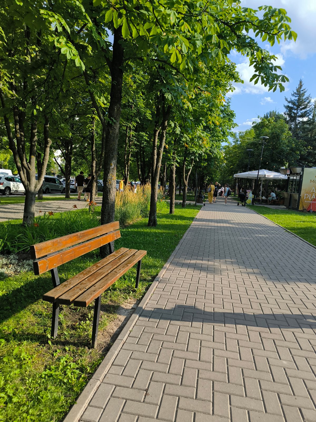Lazy summer afternoon in a Chișinău city park