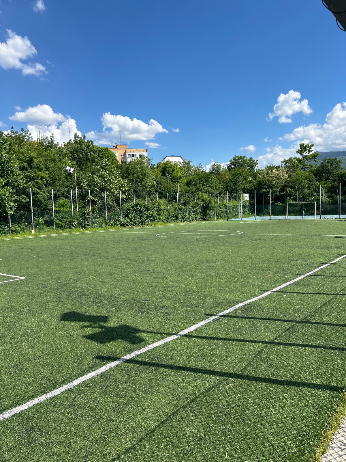 Urban scenes document roses, playgrounds, sports fields in unidentified city