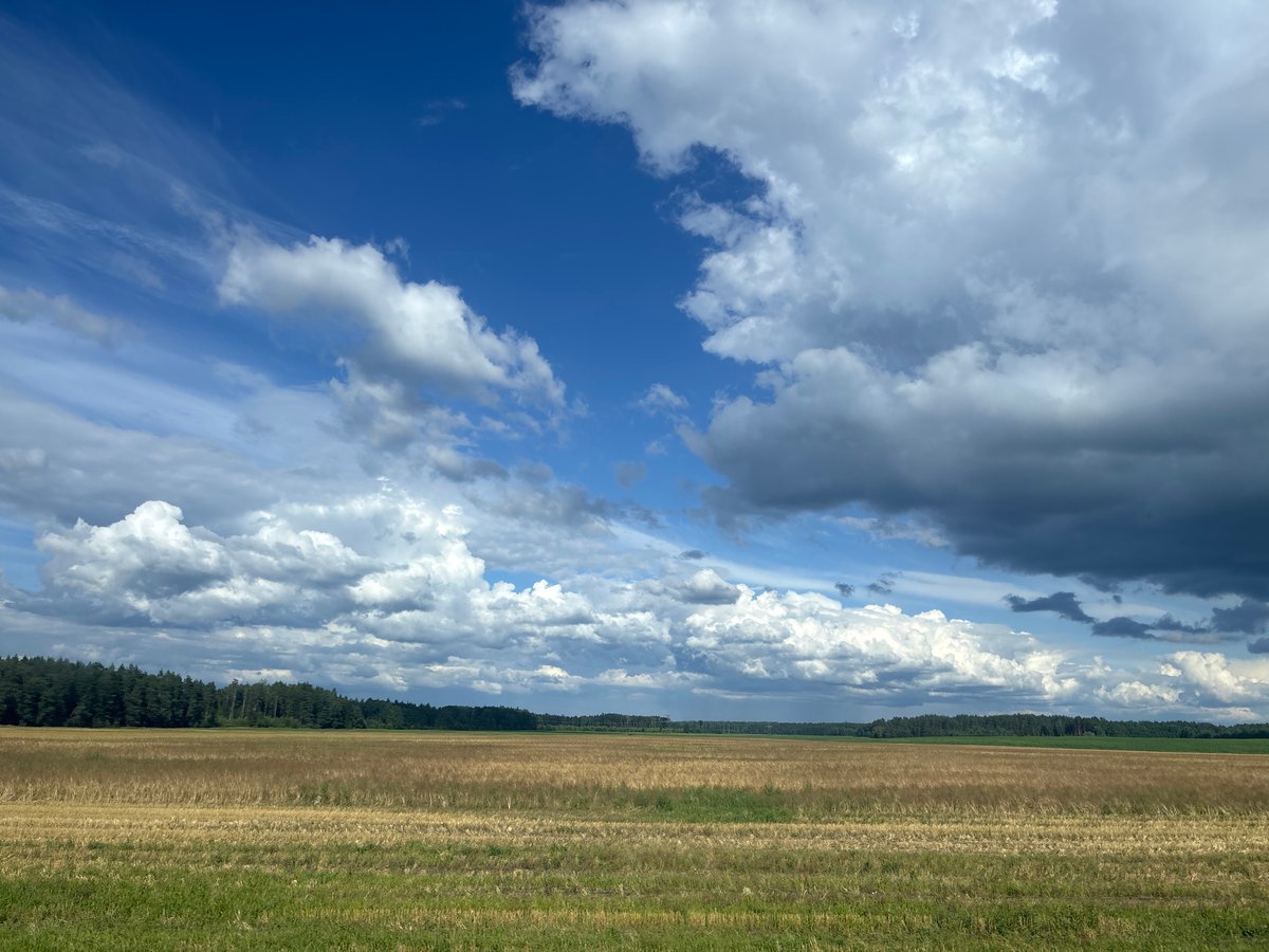 Belarusian farmland under a big summer sky