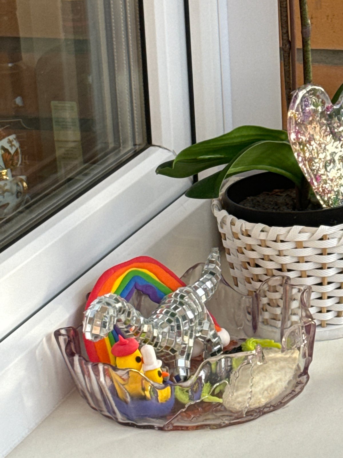 Windowsill arrangement with houseplant documented in Krasnoyarsk