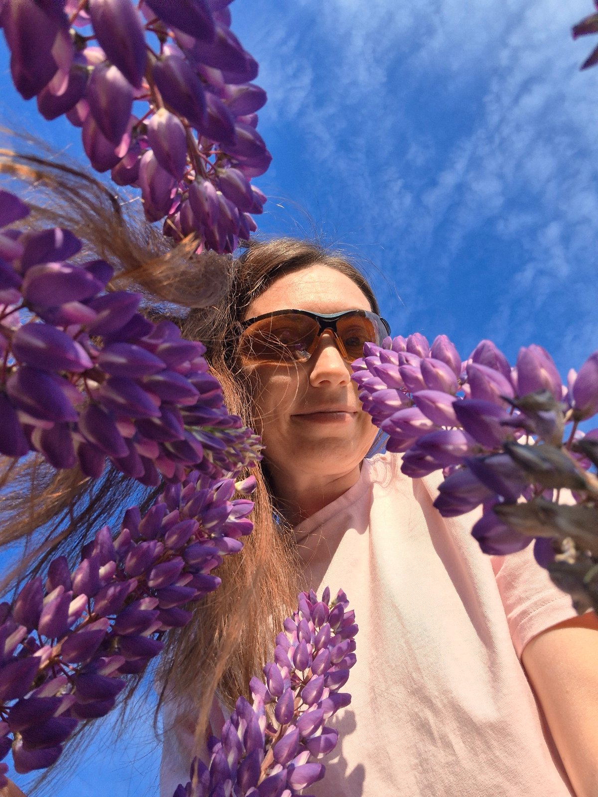 Woman documents lupine fields and churches in Chaikovsky, Russia