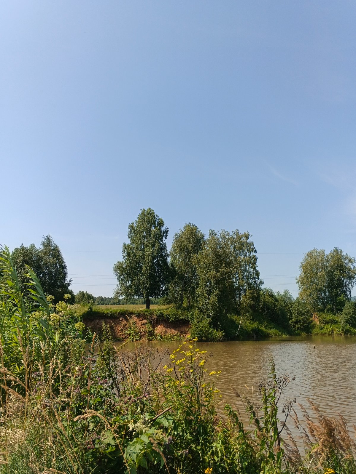 Summer morning in rural Urtiushka: wildflowers, river views, dirt roads