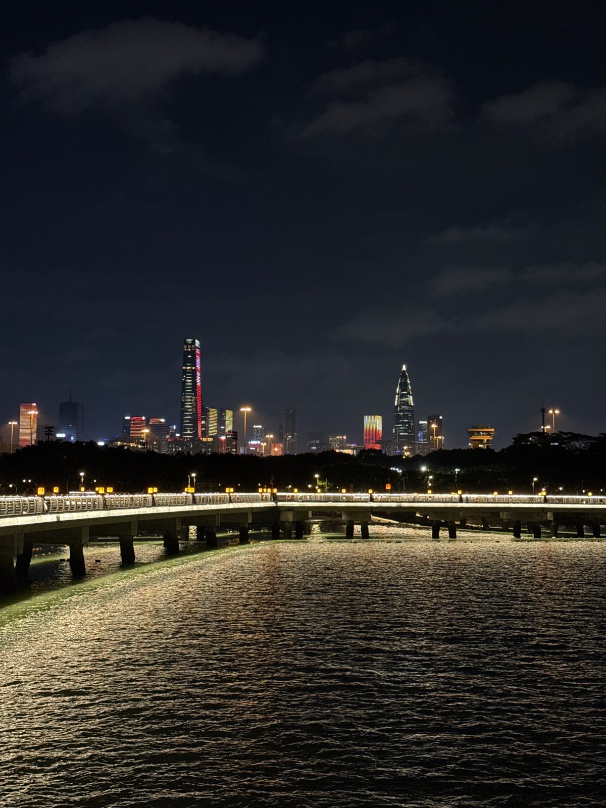 Nanshan District waterfront skyline captured at night