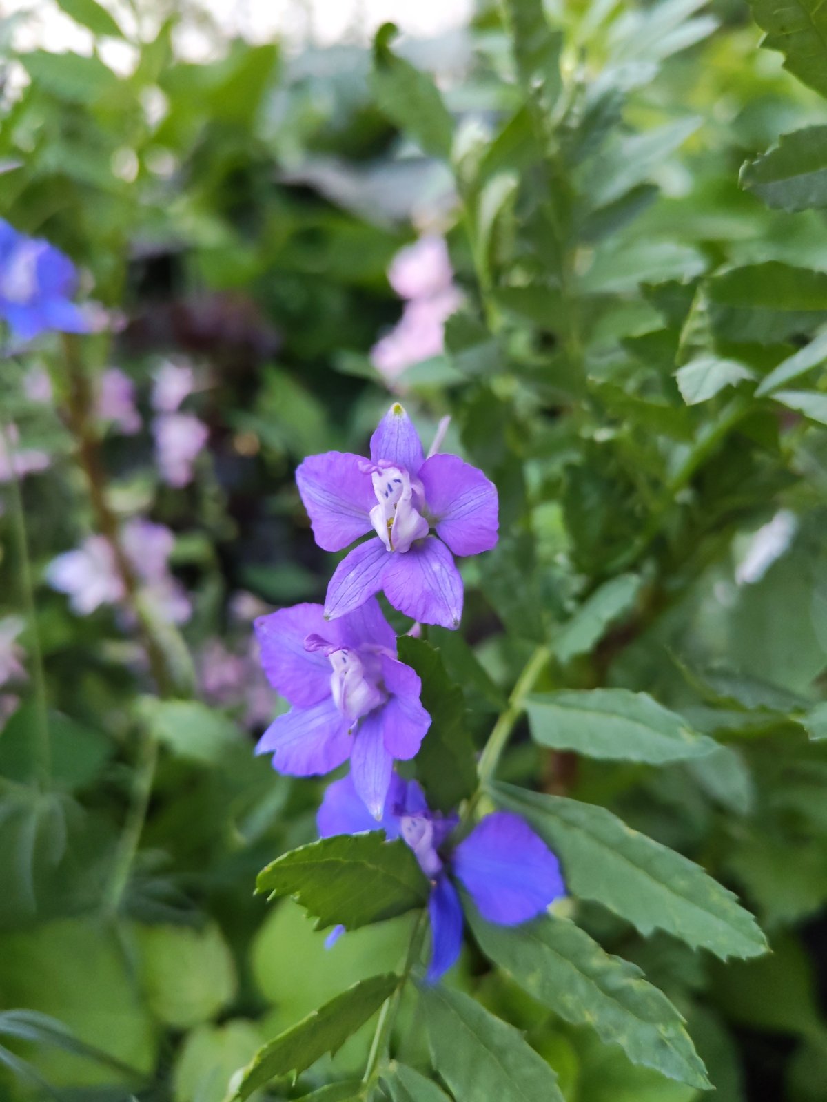Afternoon stroll along a riverside park with flowers and gardens