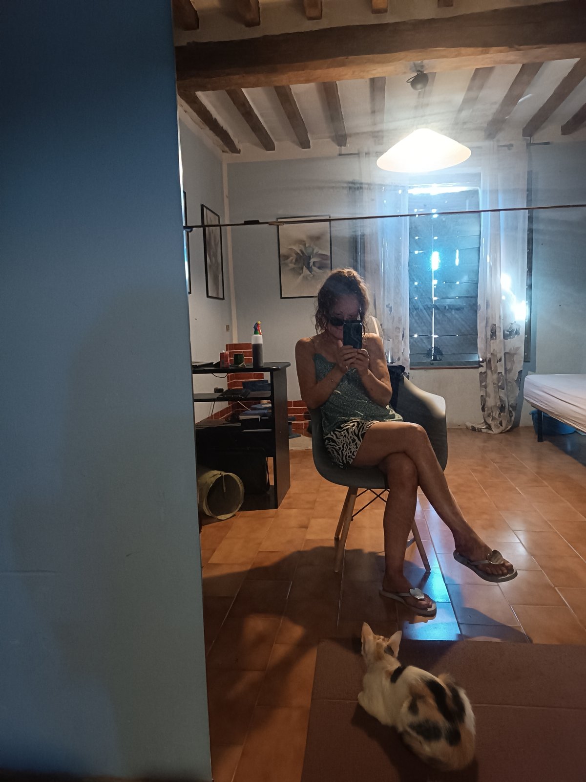 Lazy afternoon in Viadana with cats, art, and backyard wildlife