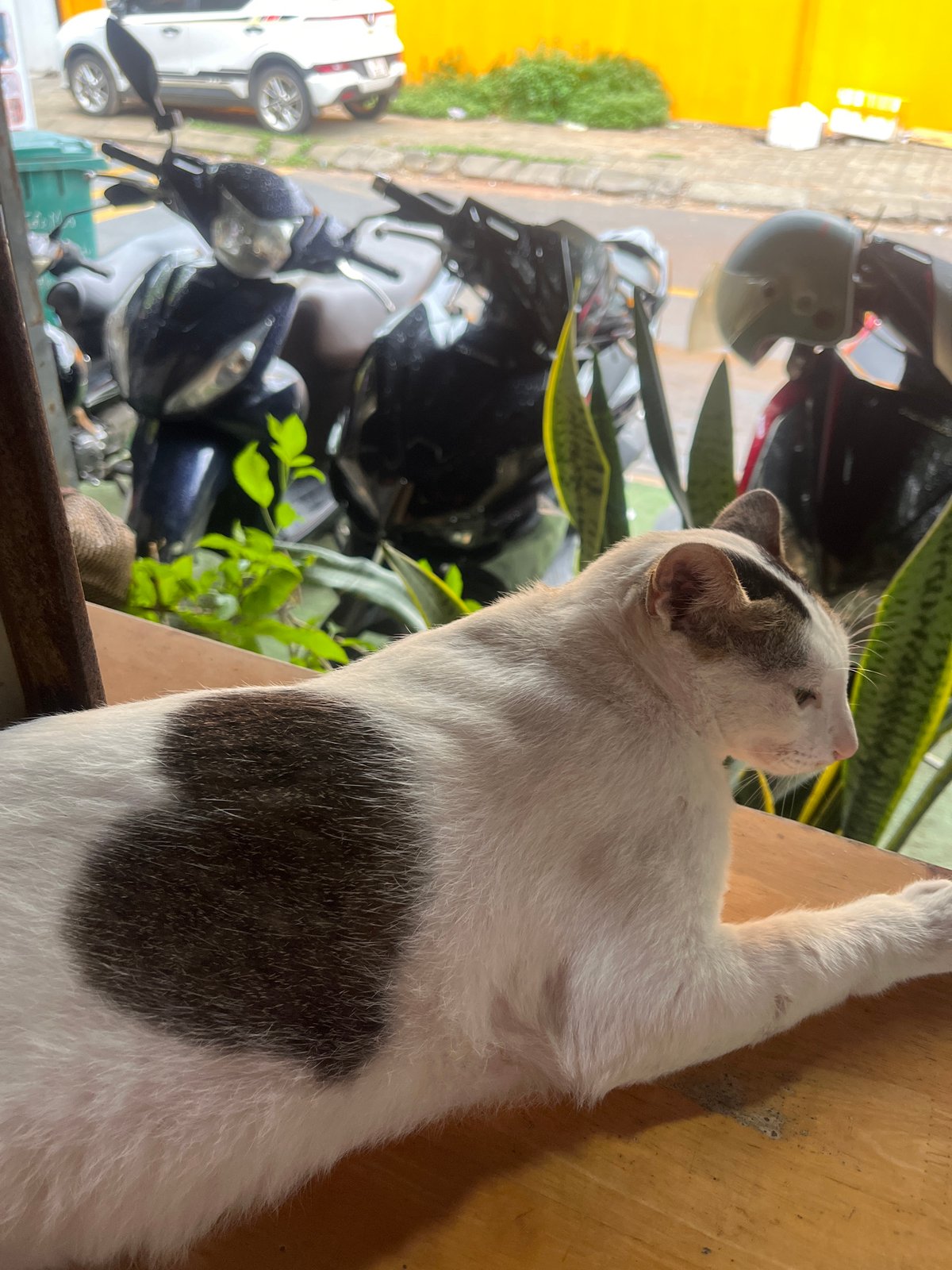 Lazy beach morning and café stops in Đà Nẵng