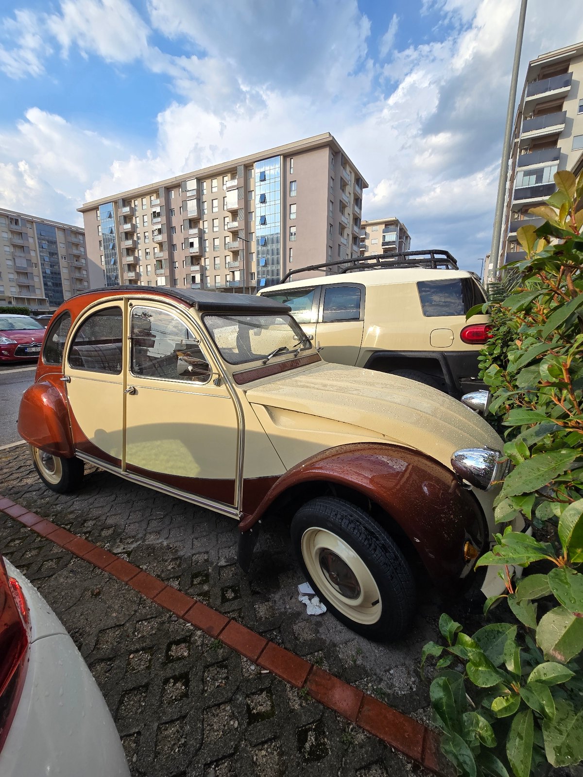 Urban neighborhood stroll with roses and a vintage 2CV