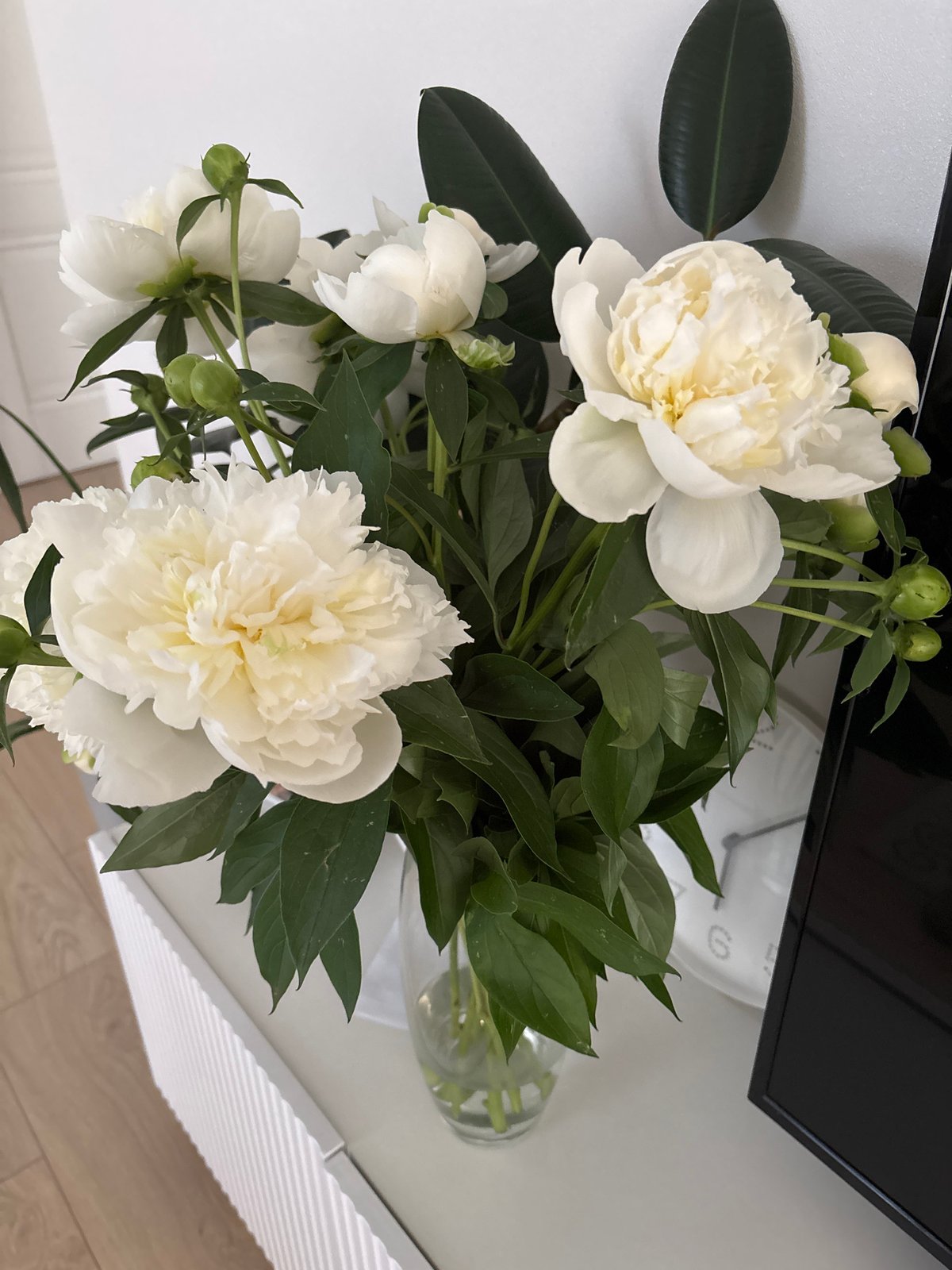 White peonies and mirror selfies in a Chaikovsky apartment