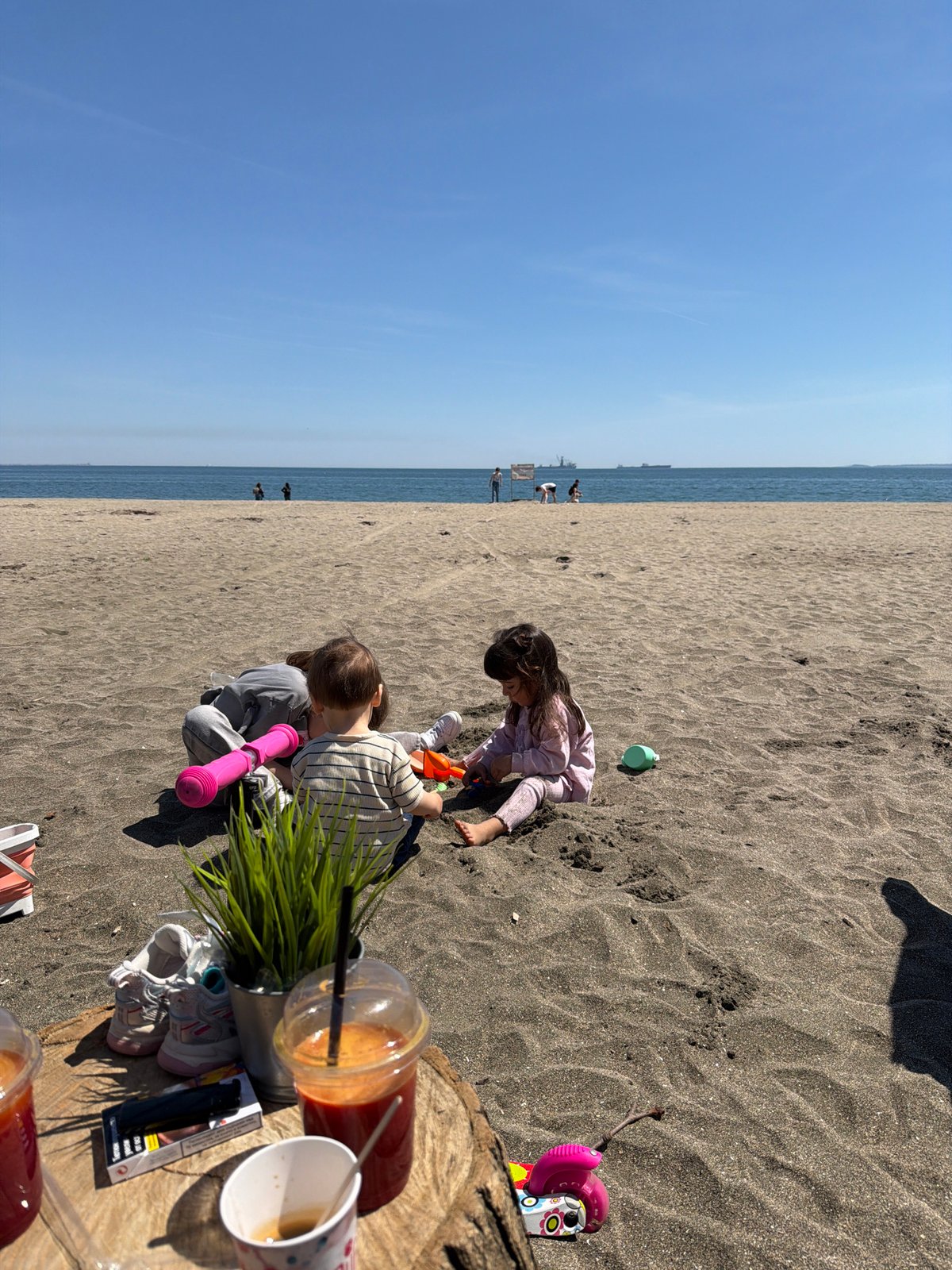 Spring morning coastal life documented across beaches and neighborhoods