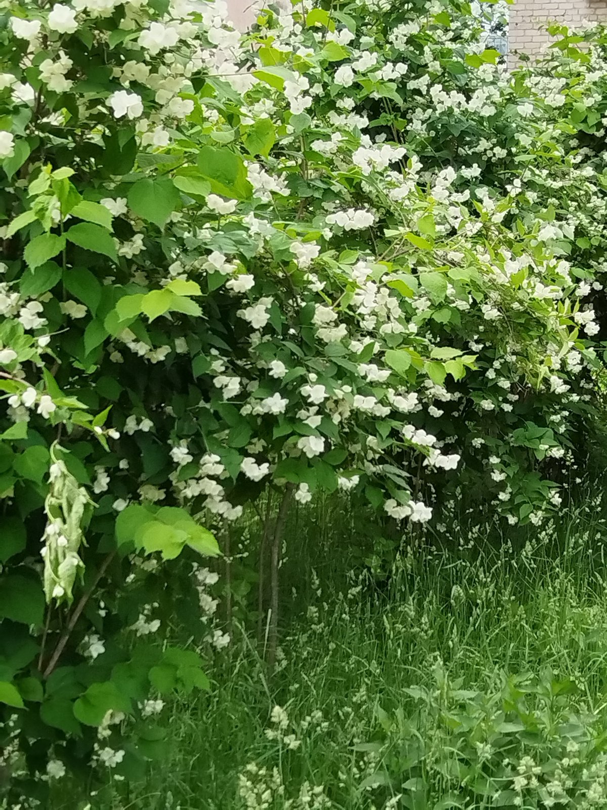 Quiet morning moments captured in Chaikovsky, Russia parks and neighborhoods