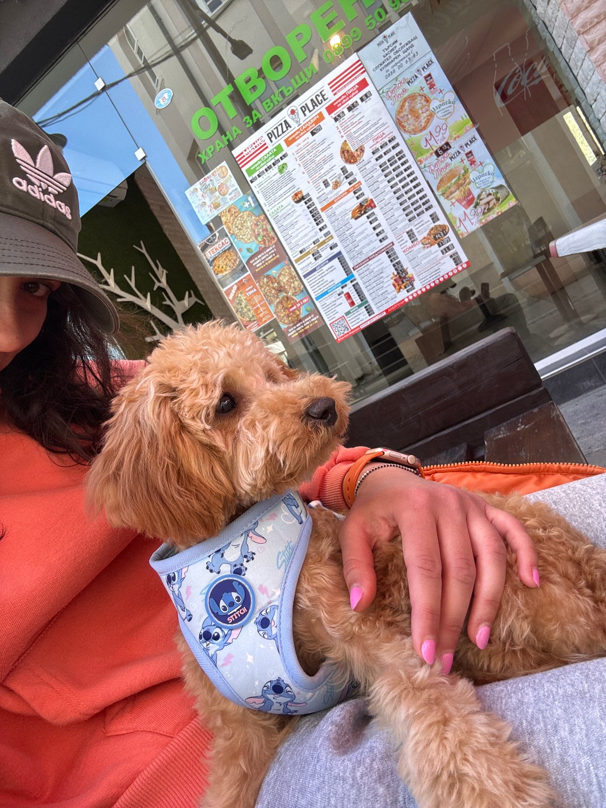 Diners share pizza with golden doodle at Blagoevgrad restaurant