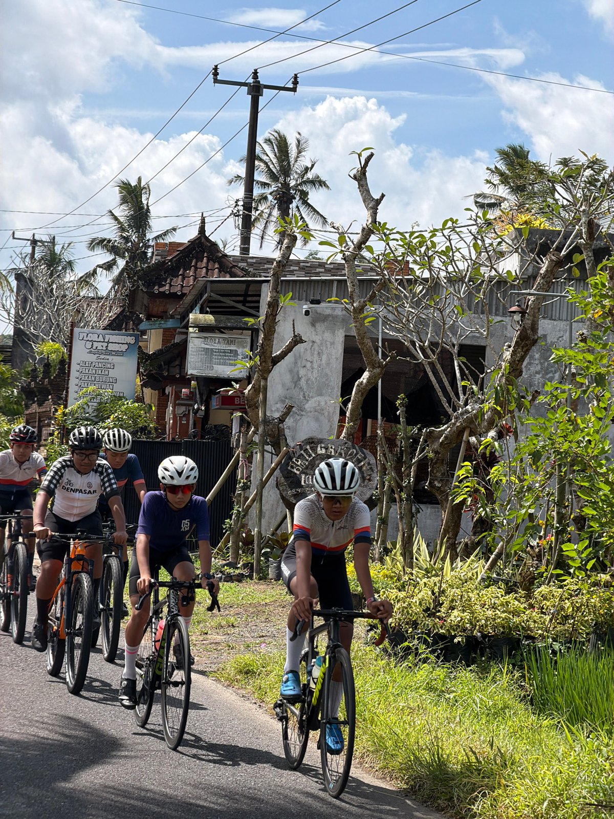 Morning traffic on palm-lined road in Marga, Indonesia