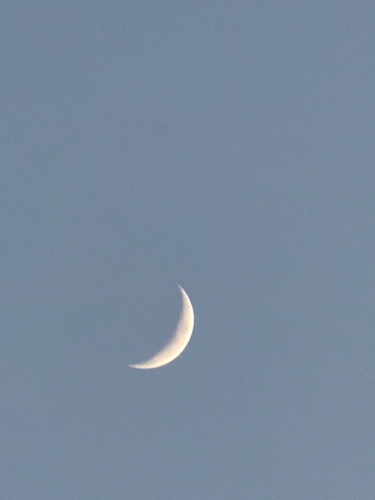Sofia evening sky: contrails, crescent moon, and a park at dusk