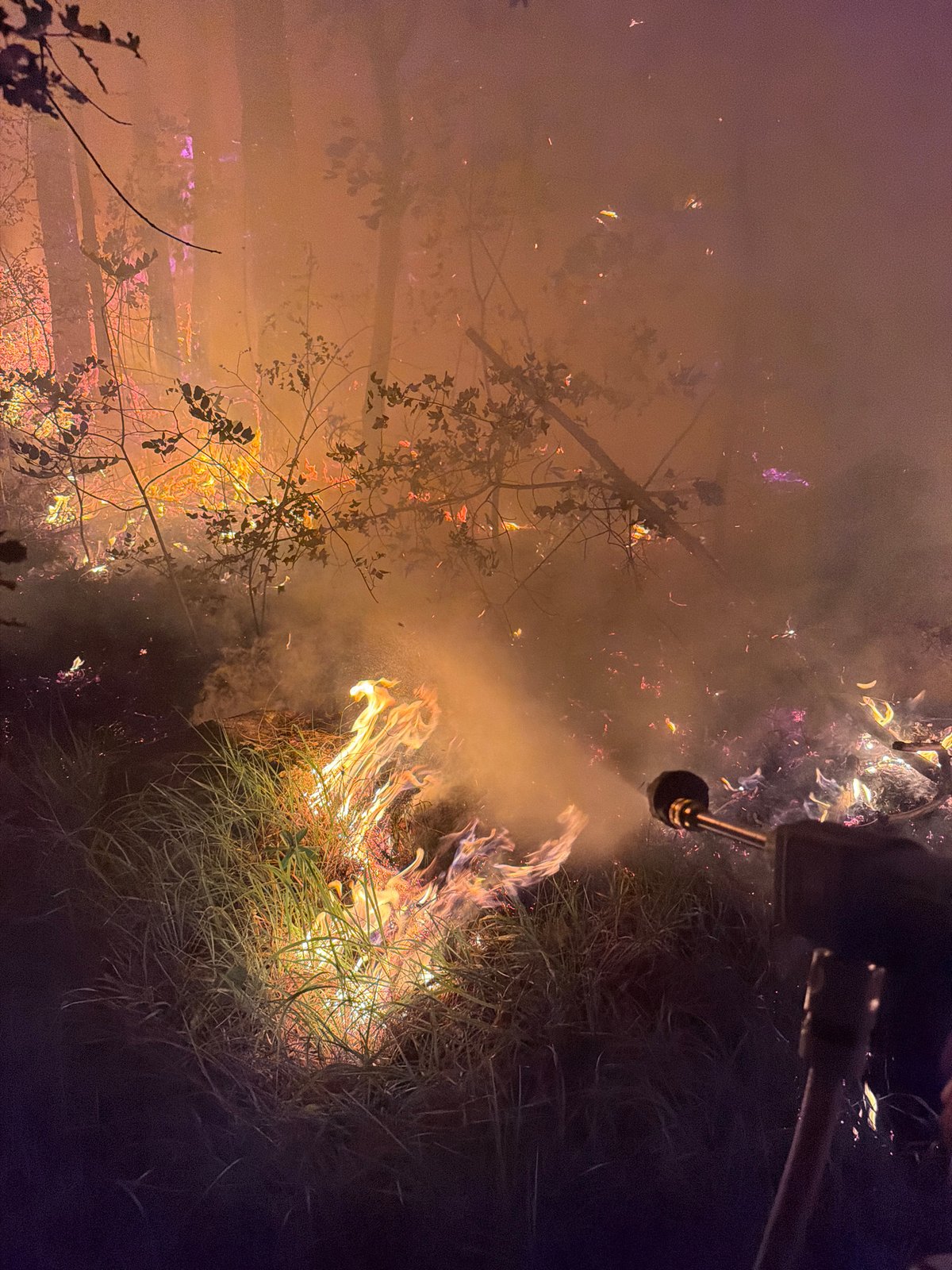 Forest fire burns through hillside woodland near Gluhi Do, Montenegro