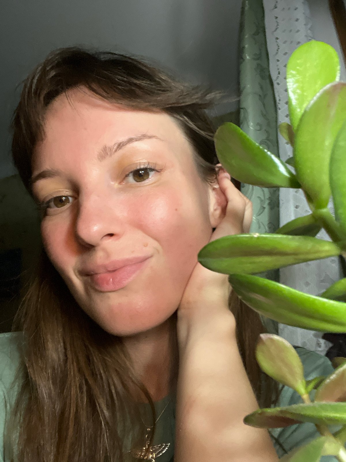 Close-up moments with a jade plant in Gubakha, Russia