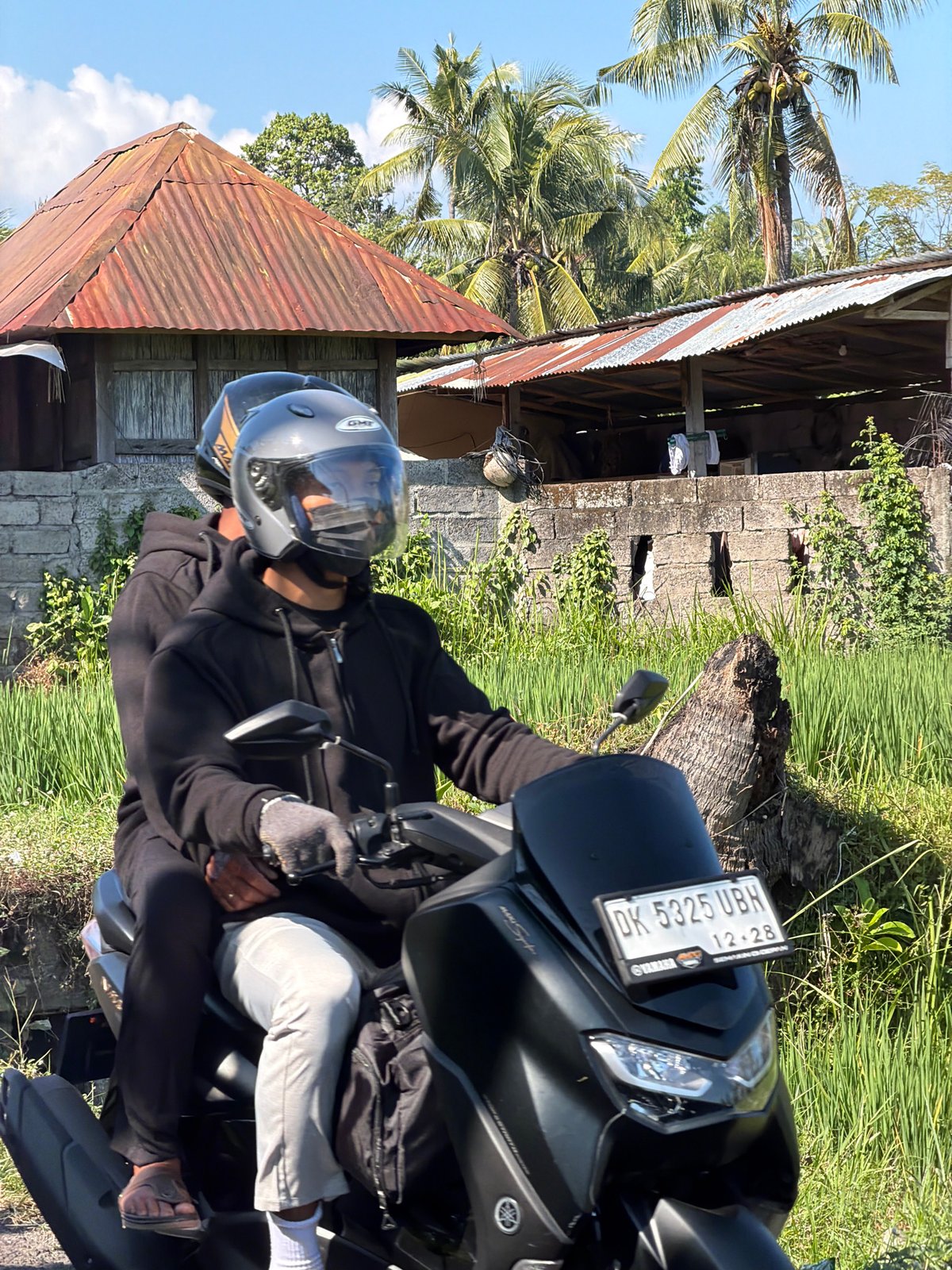 Rural Sawan: rice paddies, palm trees, and a passing motorcycle.