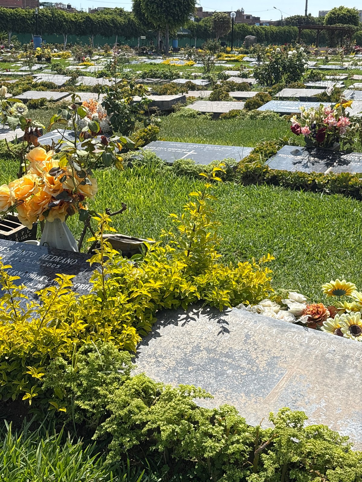 Cemetery grounds documented in Callao, Peru with flowers, gravestones