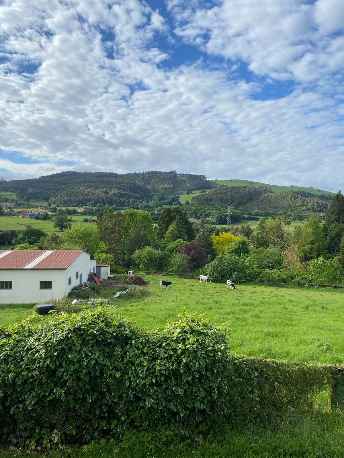 Morning rural landscape views documented in Villaviciosa, Spain