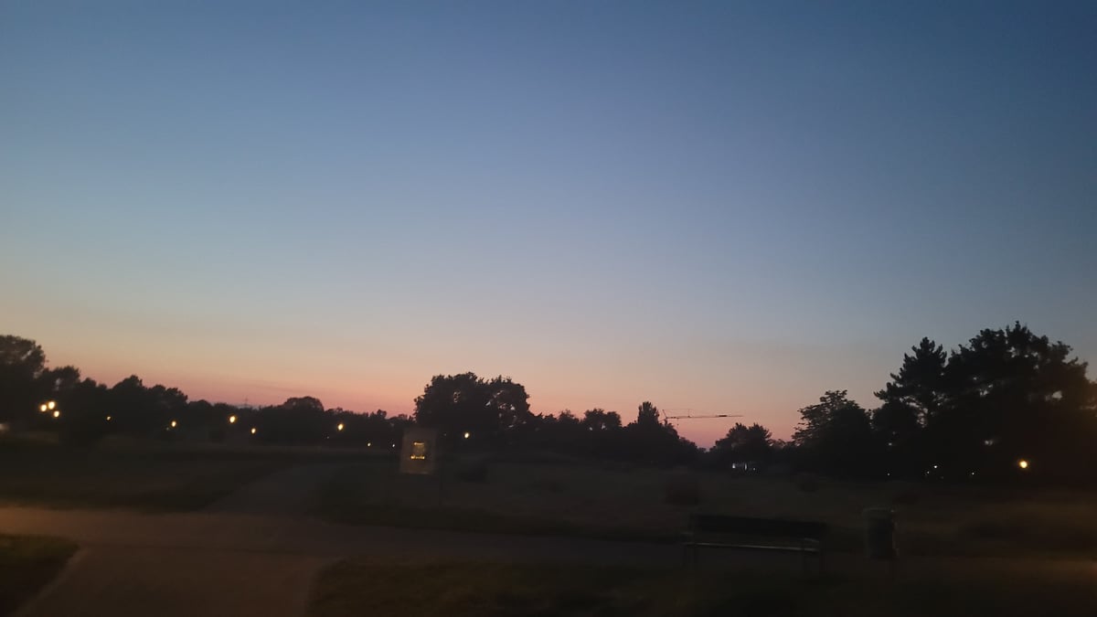 Dusk settles over a city park as streetlamps come on