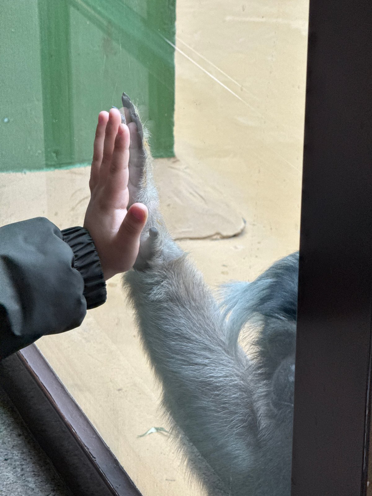 Family enjoys morning zoo visit in Izhevsk, Russia