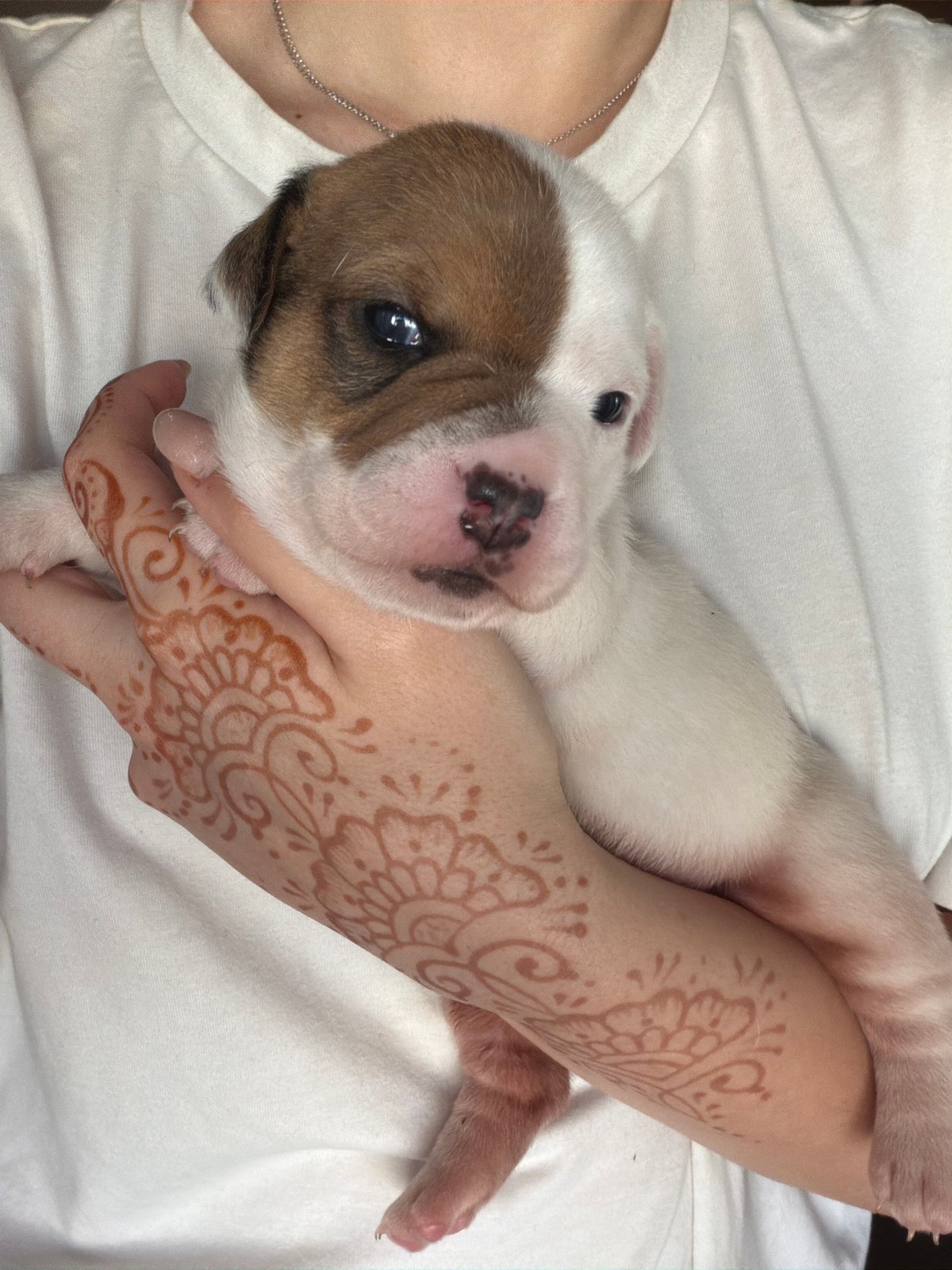 Woman with puppy photographed in early morning Sofia encounter