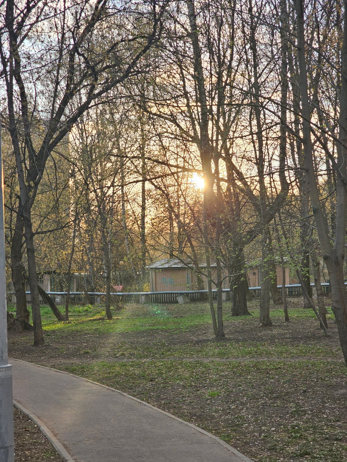 Late afternoon sun filters through bare trees in Khimki park