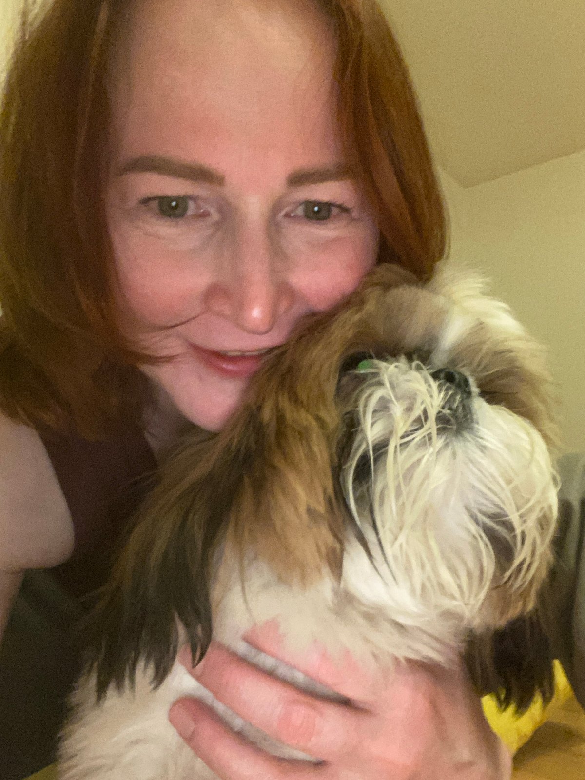 Person enjoys poker night with Shih Tzu in Chaikovsky