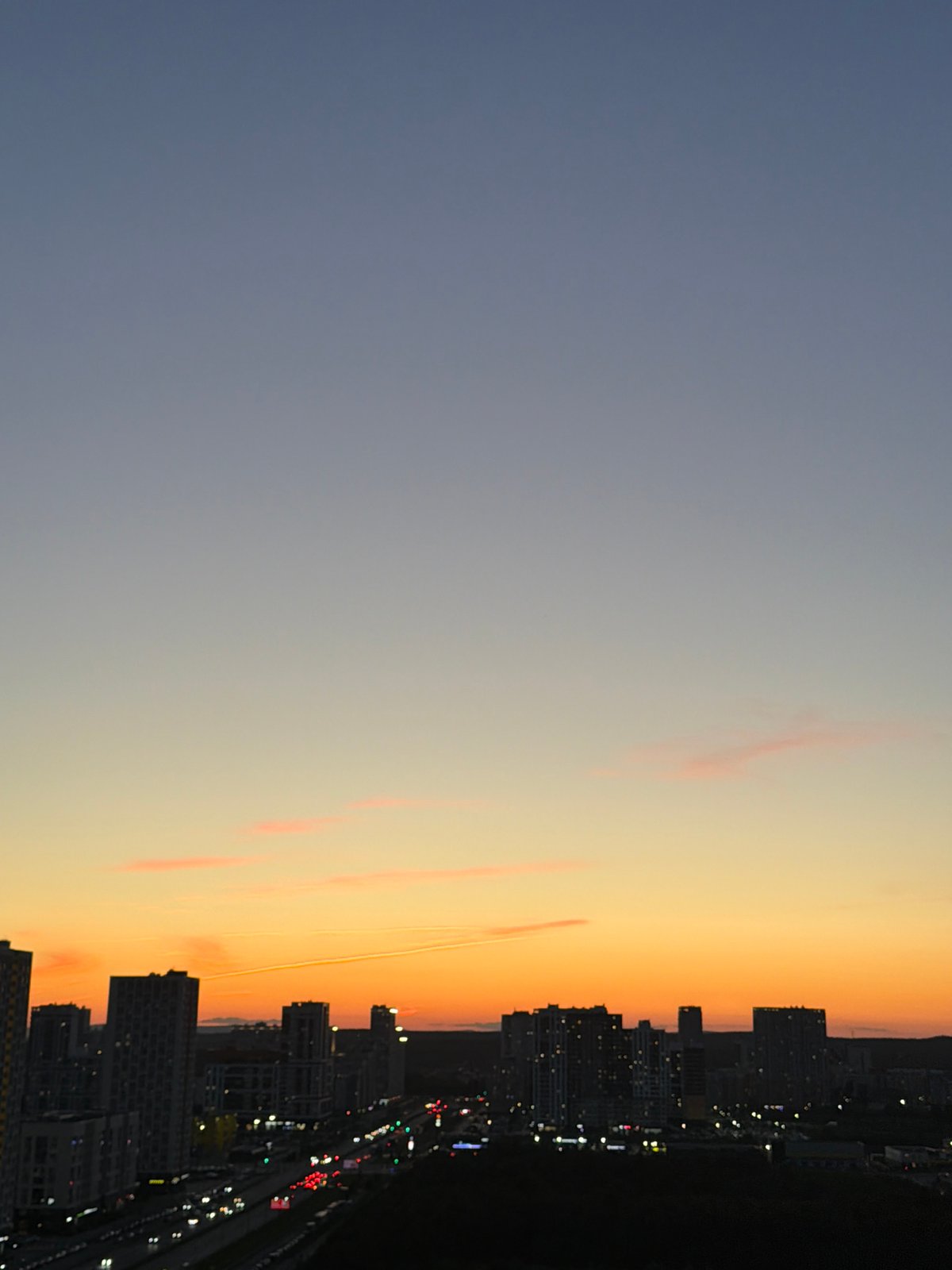 Yekaterinburg dusk skyline and a Cornish Rex cat at home