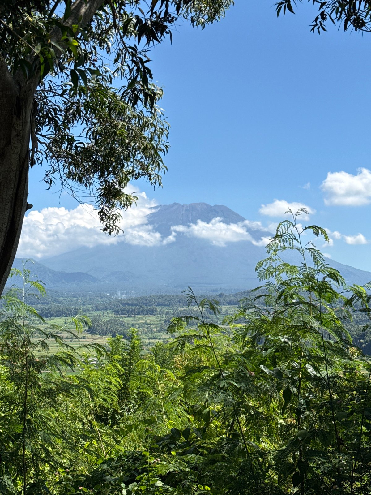 Mountain landscape photographed through vegetation in Bugbug, Indonesia