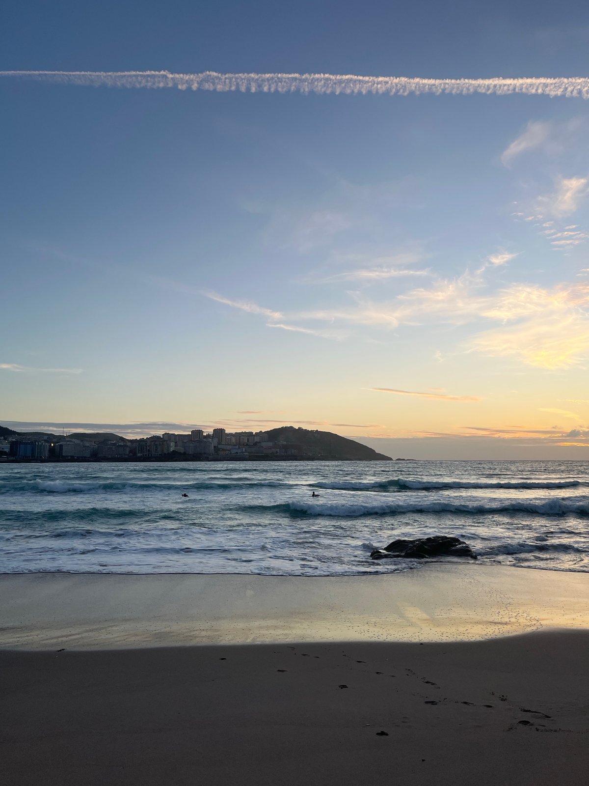 Sunset waders captured along A Coruña coastline