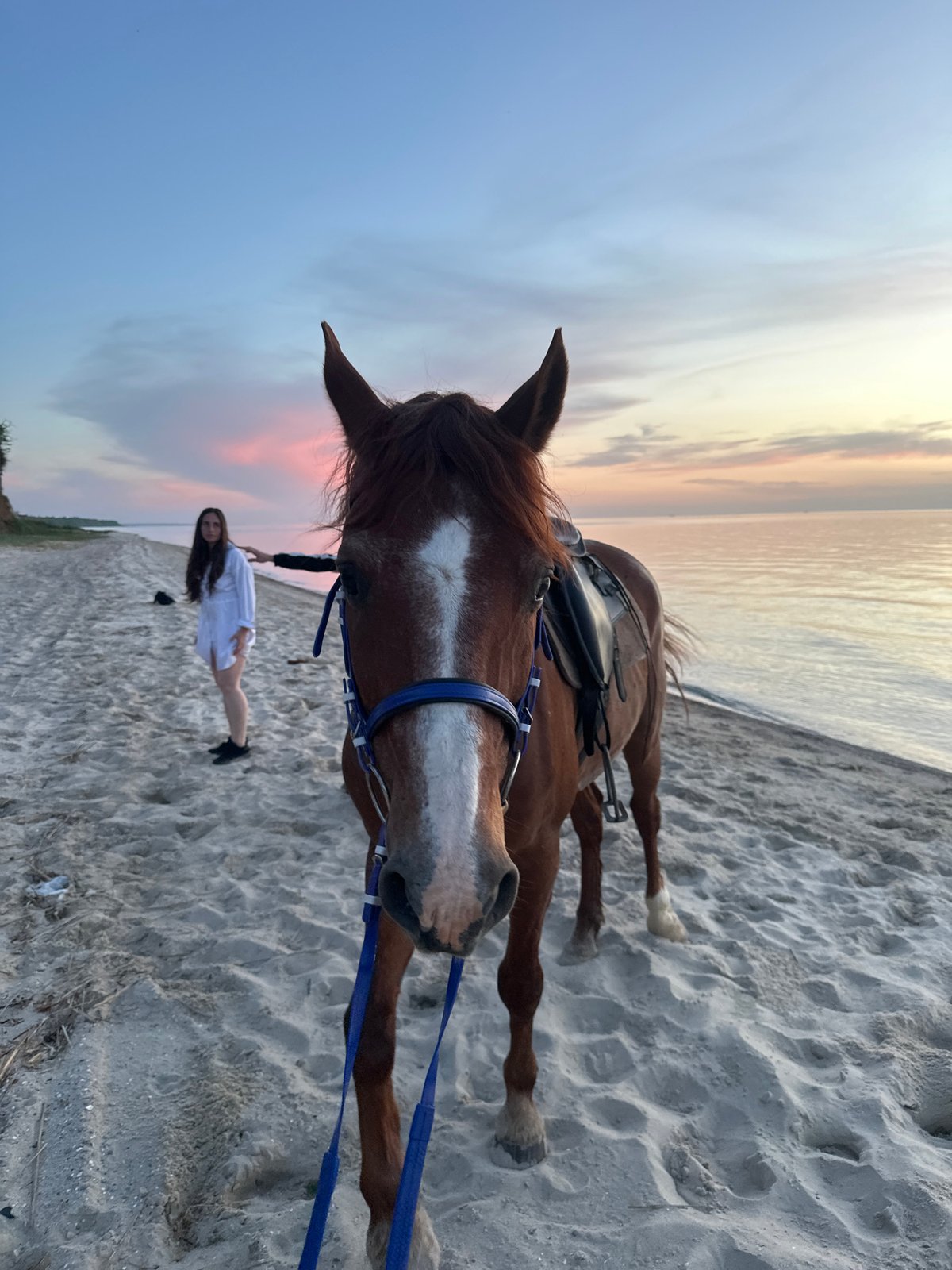Horses and riders gather on Russian beach
