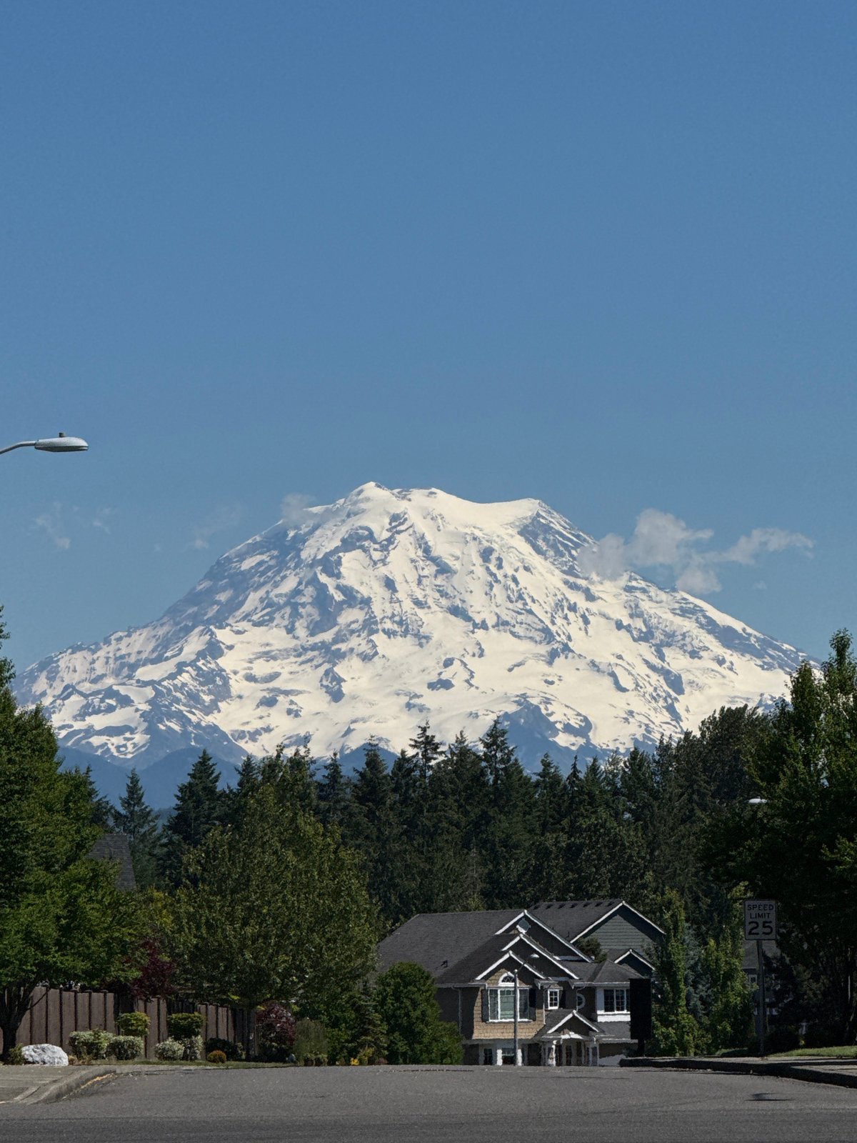 Mount Rainier photo session in South Hill streets