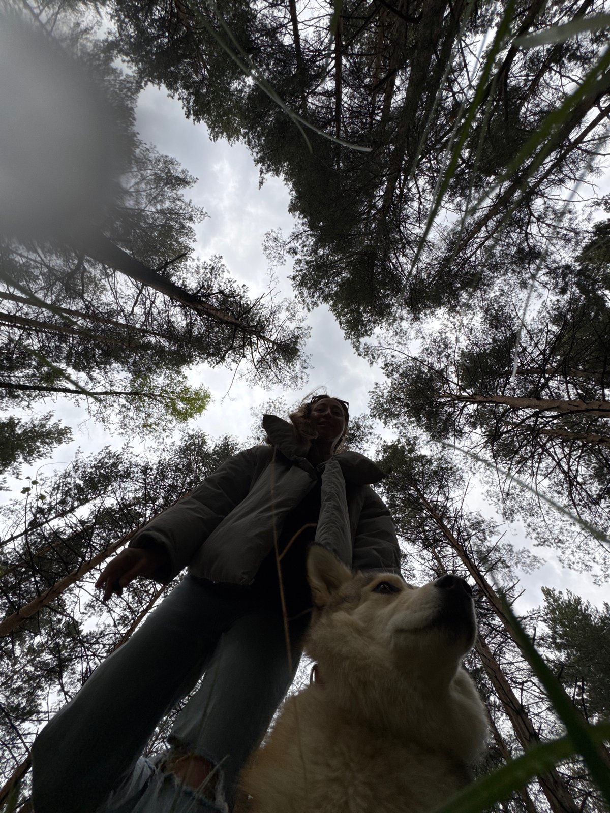Woman photographs herself in Russian forest during early hours