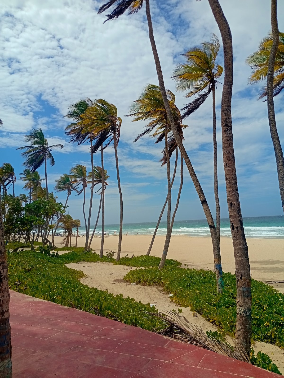 Beach scenes recorded at Playa El Agua, Venezuela