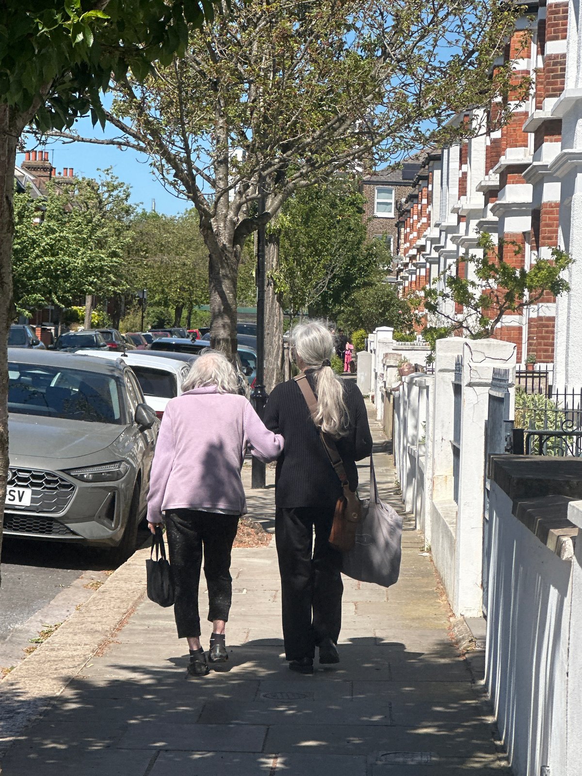 Spring blooms and street life captured in sunny London neighborhood