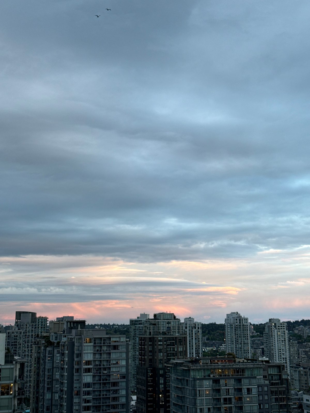 Evening rooftop party with caviar canapés in Vancouver