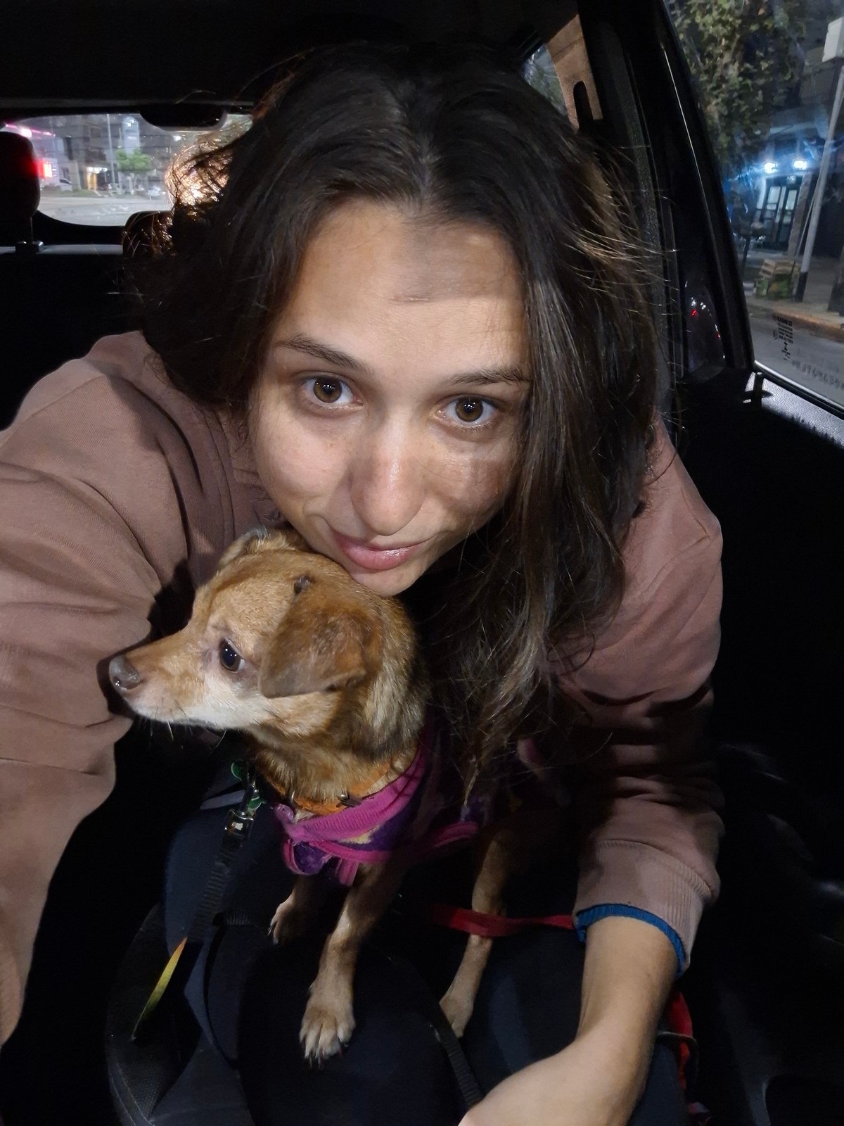 Couple travels with dressed dog through Argentine suburbs