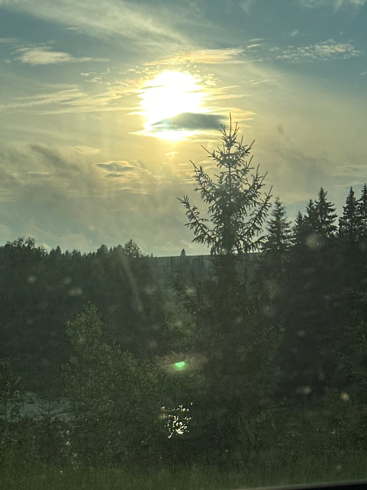 Sun pillar and cloud formations observed over Buranovo forest