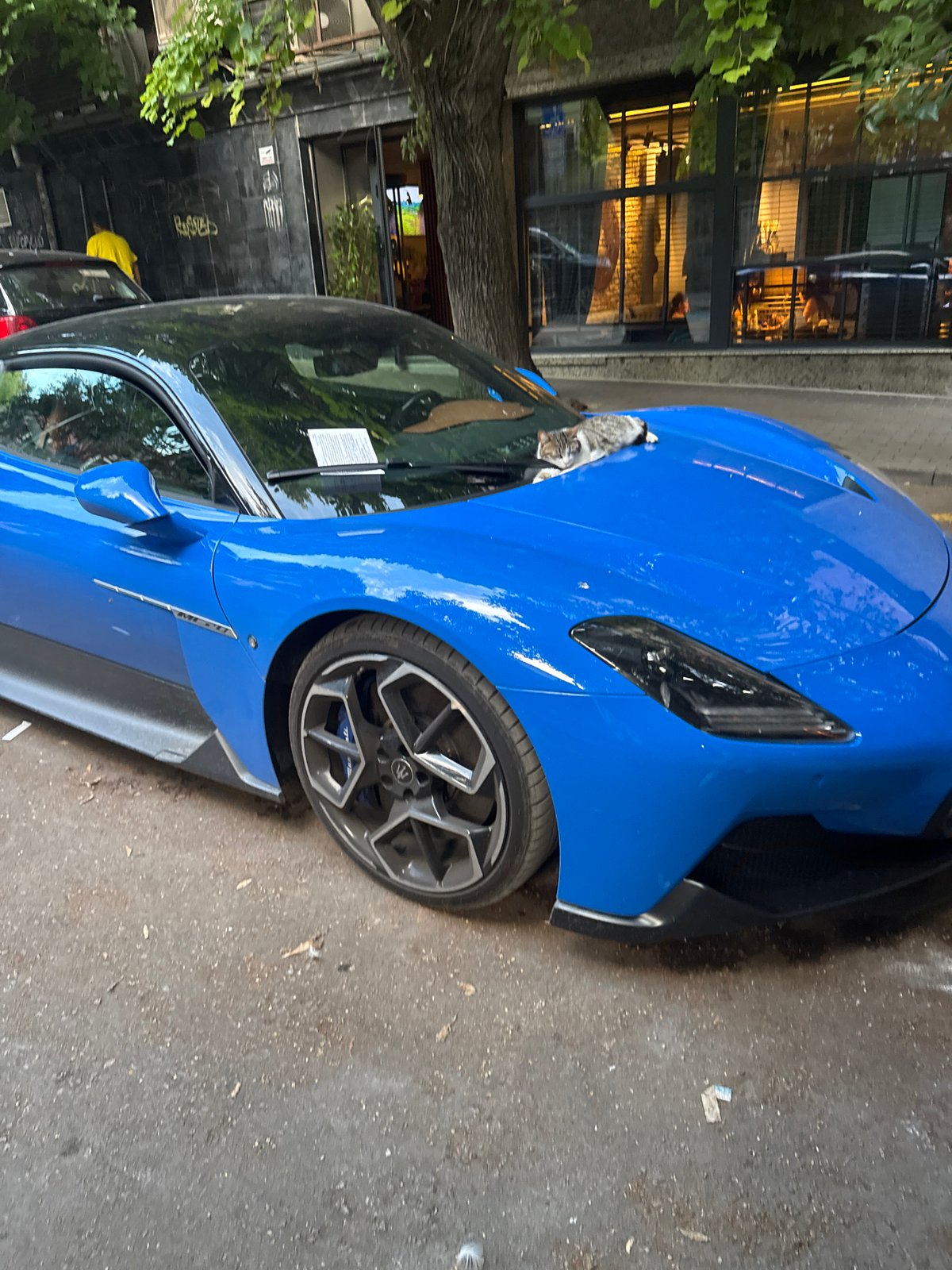 Cat claims a parked sports car in Varna, parking ticket included