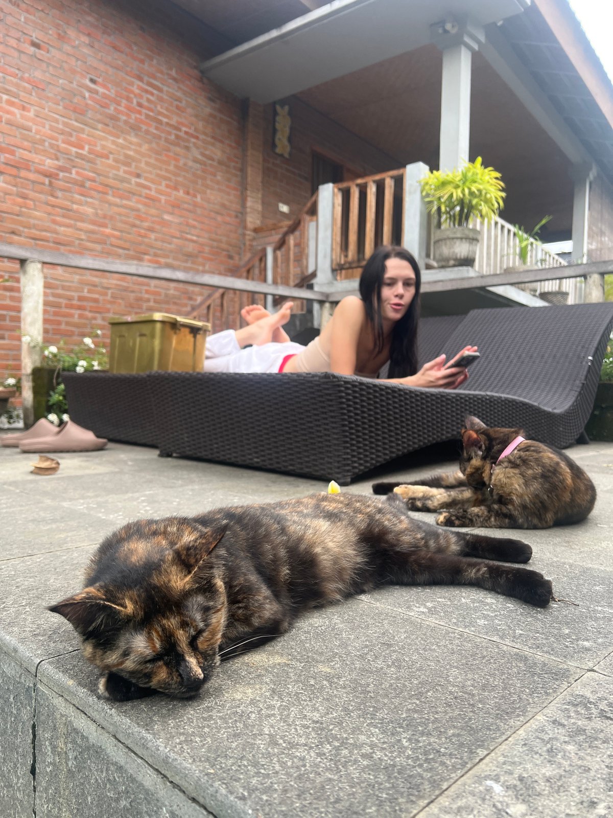 Woman relaxes with cats on North Kuta patio