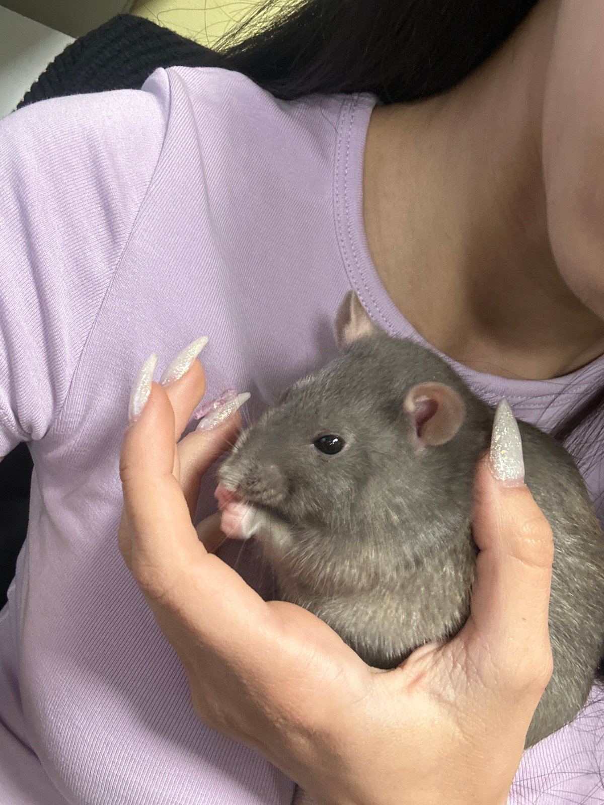 Young woman poses with pet rat in Plovdiv home