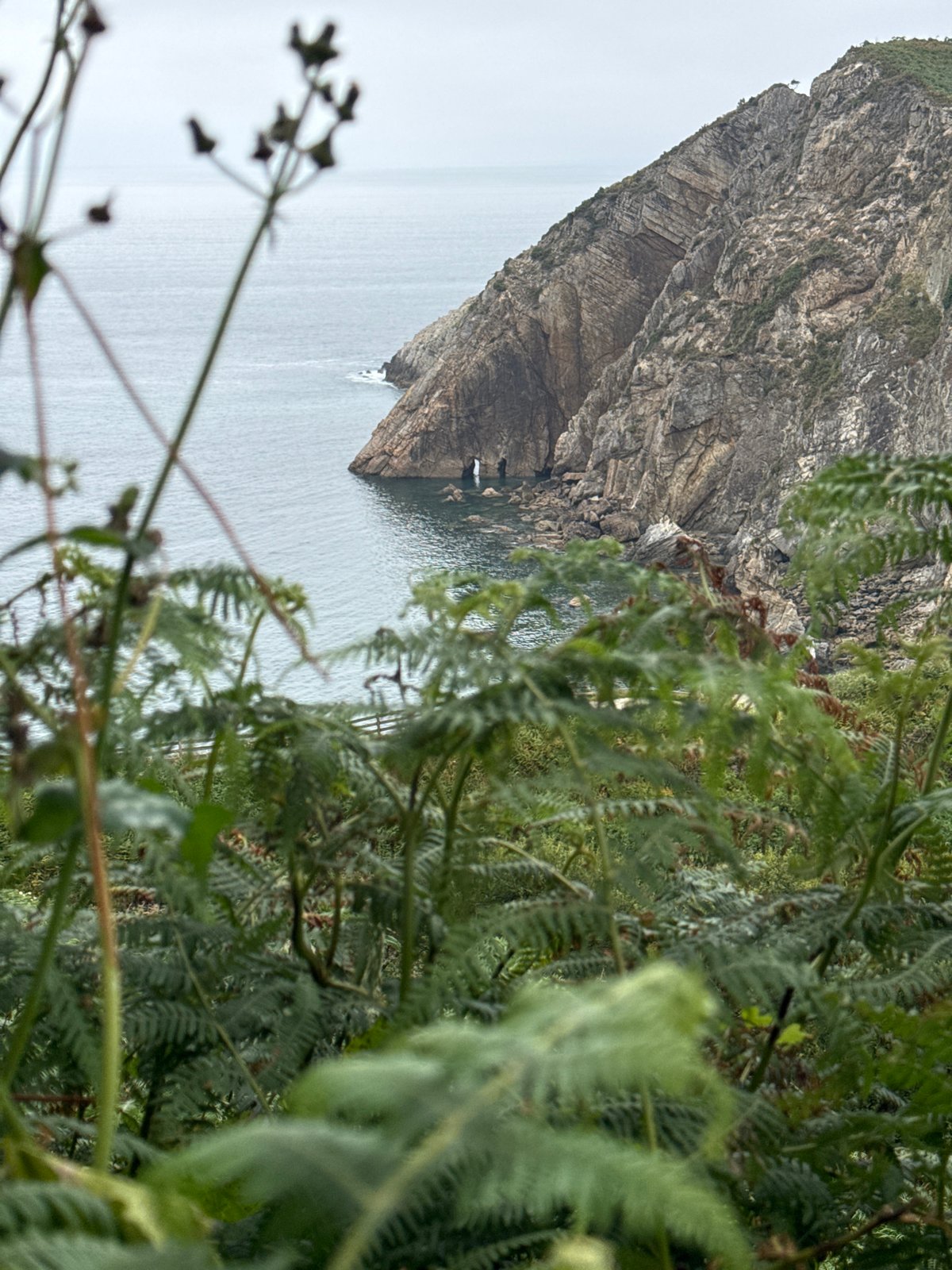 Rugged cliffs and green hillsides along the Cudillero coast