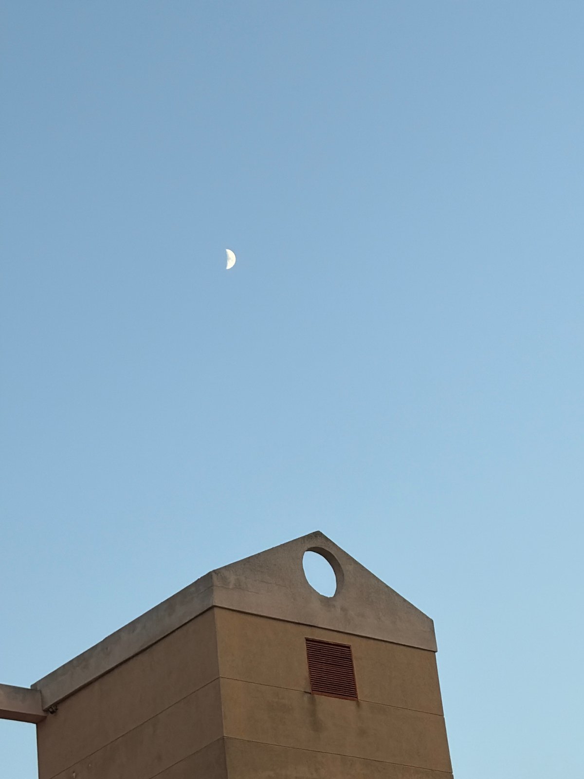 Pomeranian chills on a patio as the moon rises over Torrevieja