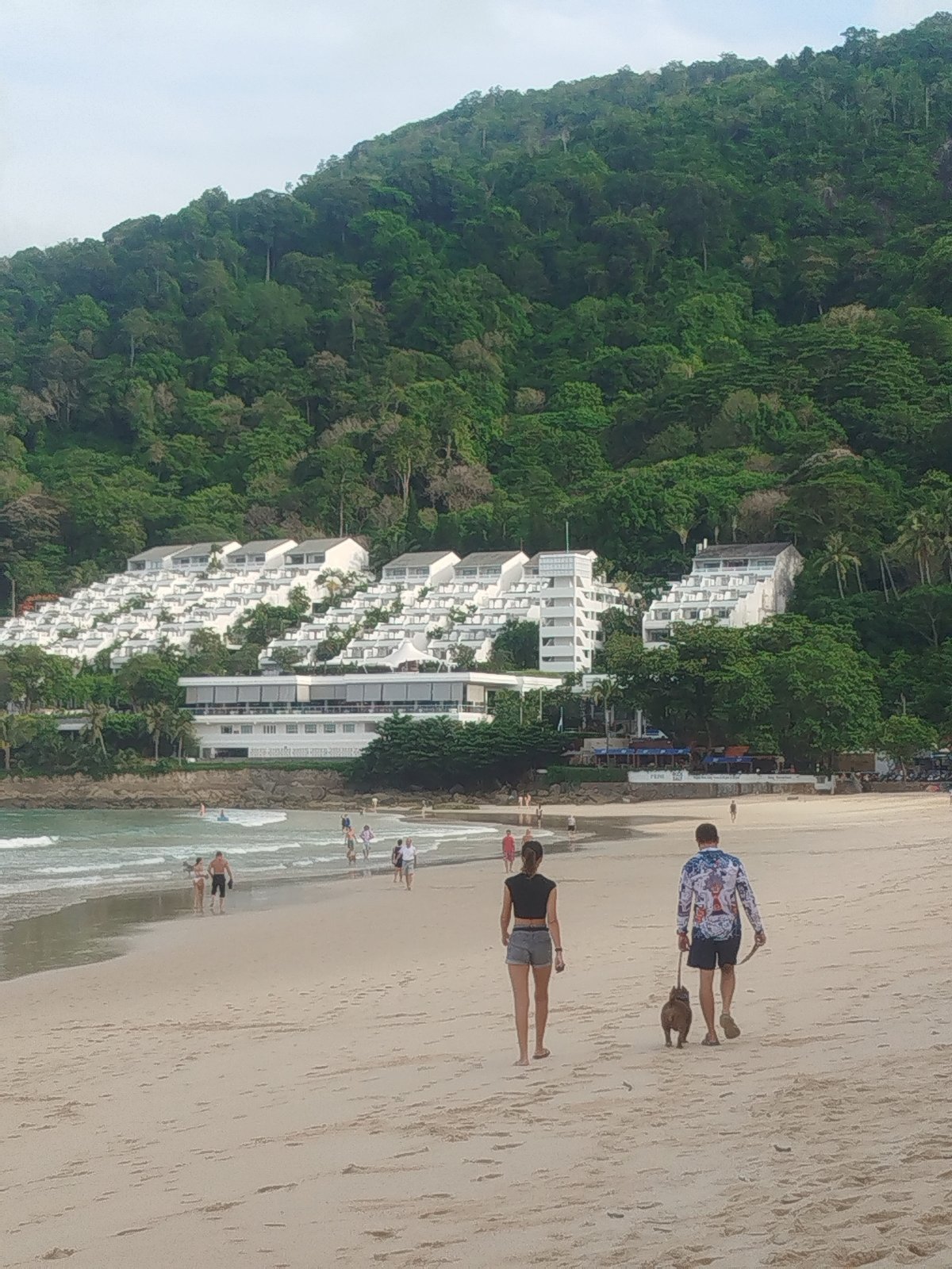Dogs and beach walks along Rawai's rocky shoreline