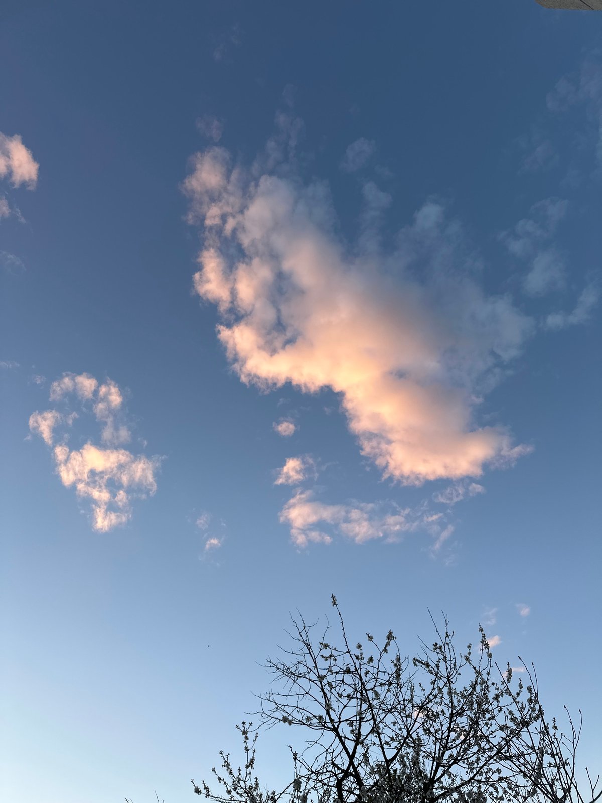 Spring afternoon sky observed in Marten, Bulgaria