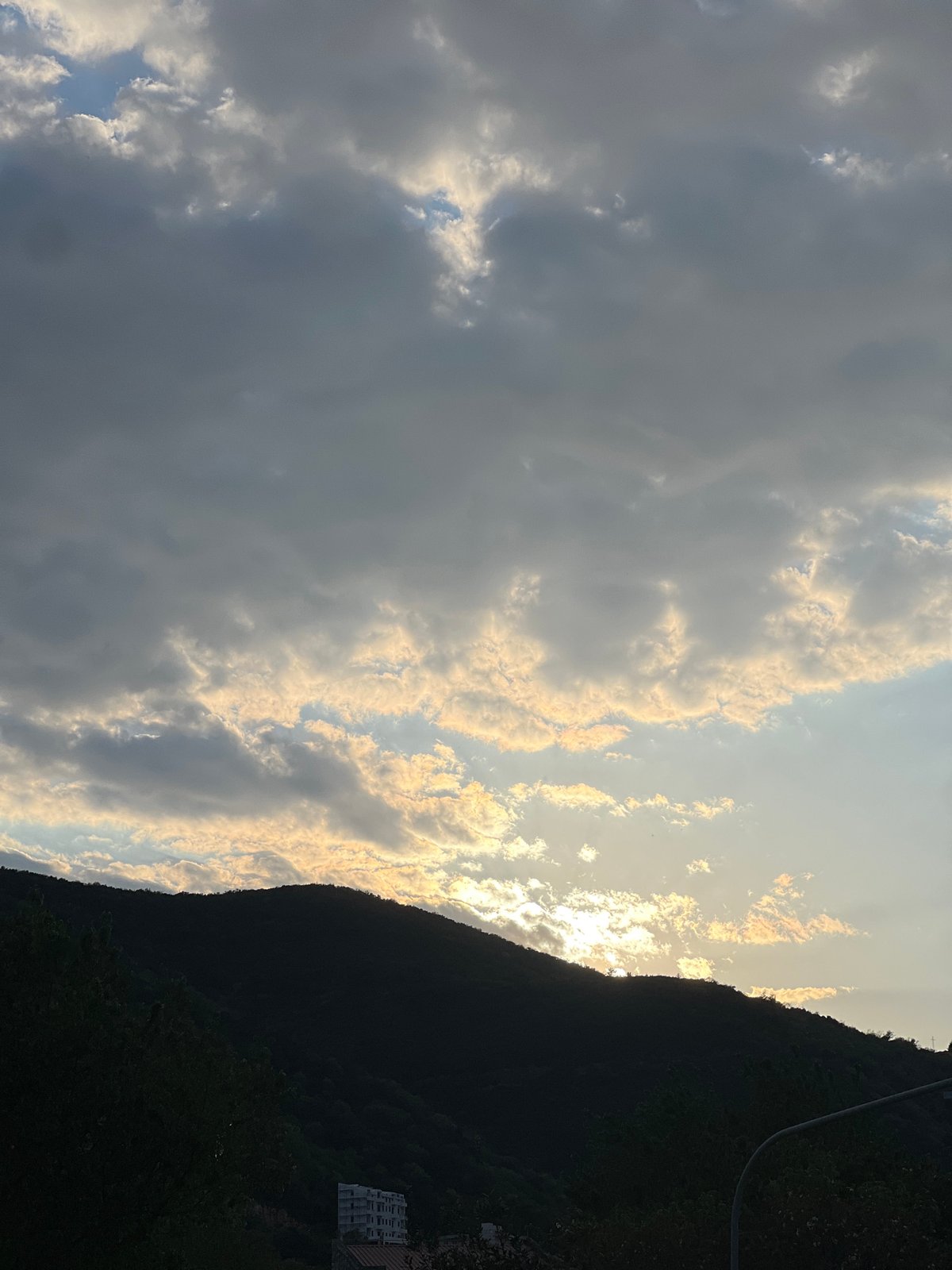 Afternoon scenes documented across Budva parks and streets