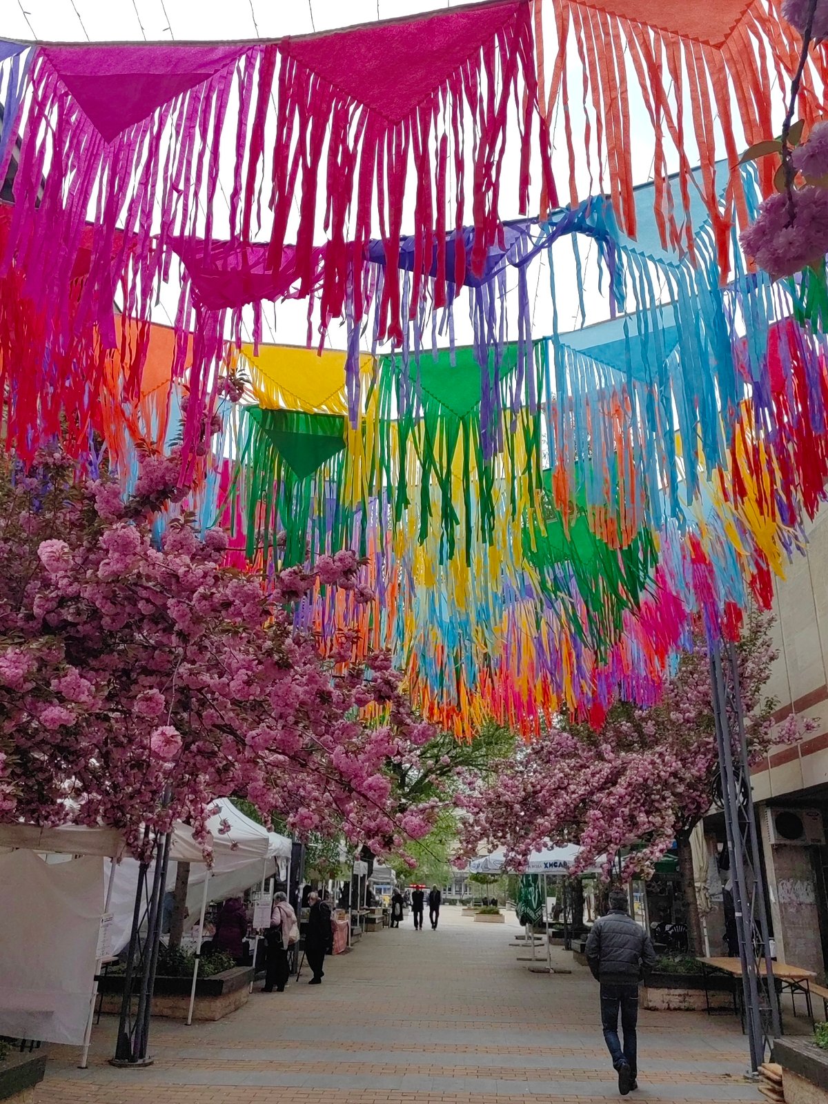 Colorful festival decorations observed on Bulgarian pedestrian street