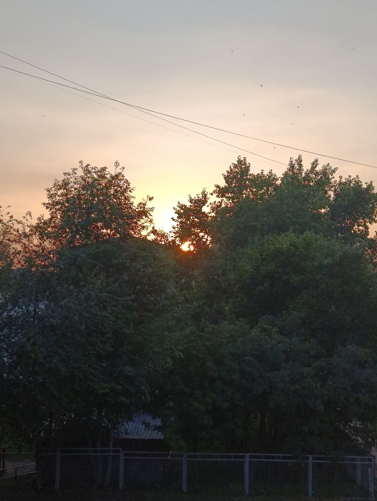 Warm summer sunset through trees in Chaikovsky, Russia