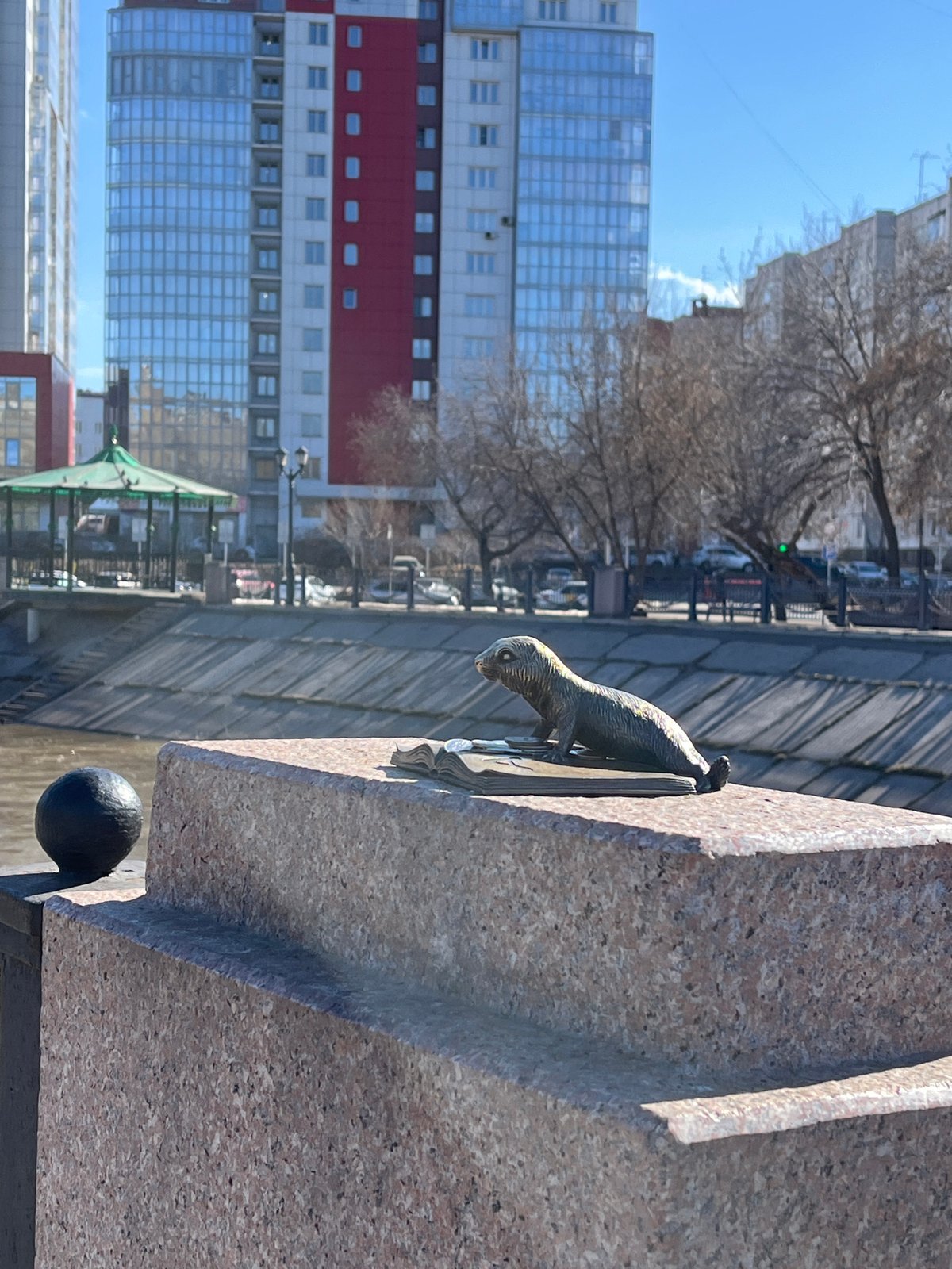 Urban Wildlife Spotted Along Krasnoyarsk Riverfront During Morning Hours