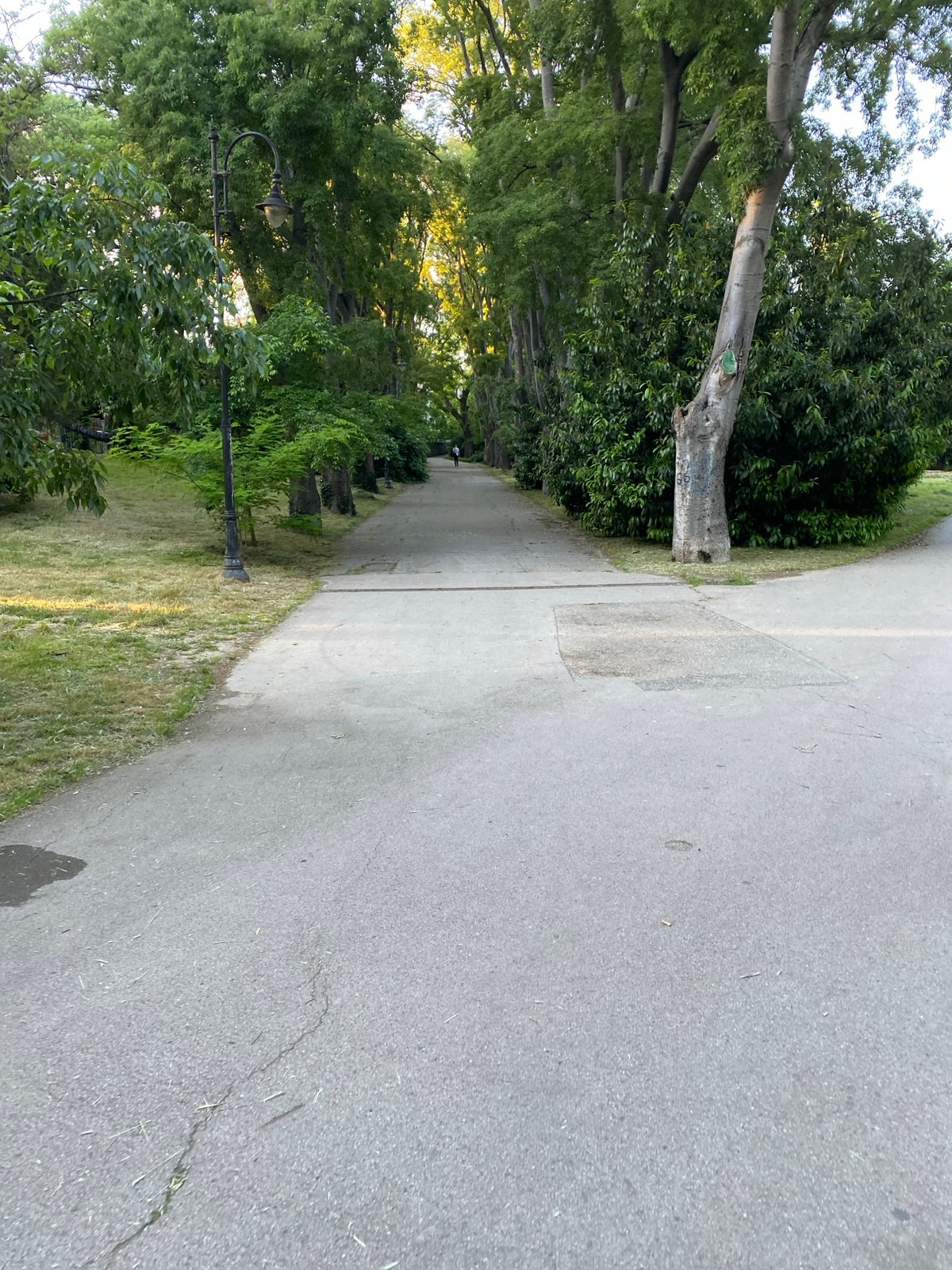 People stroll through tree-lined park pathway in Varna, Bulgaria